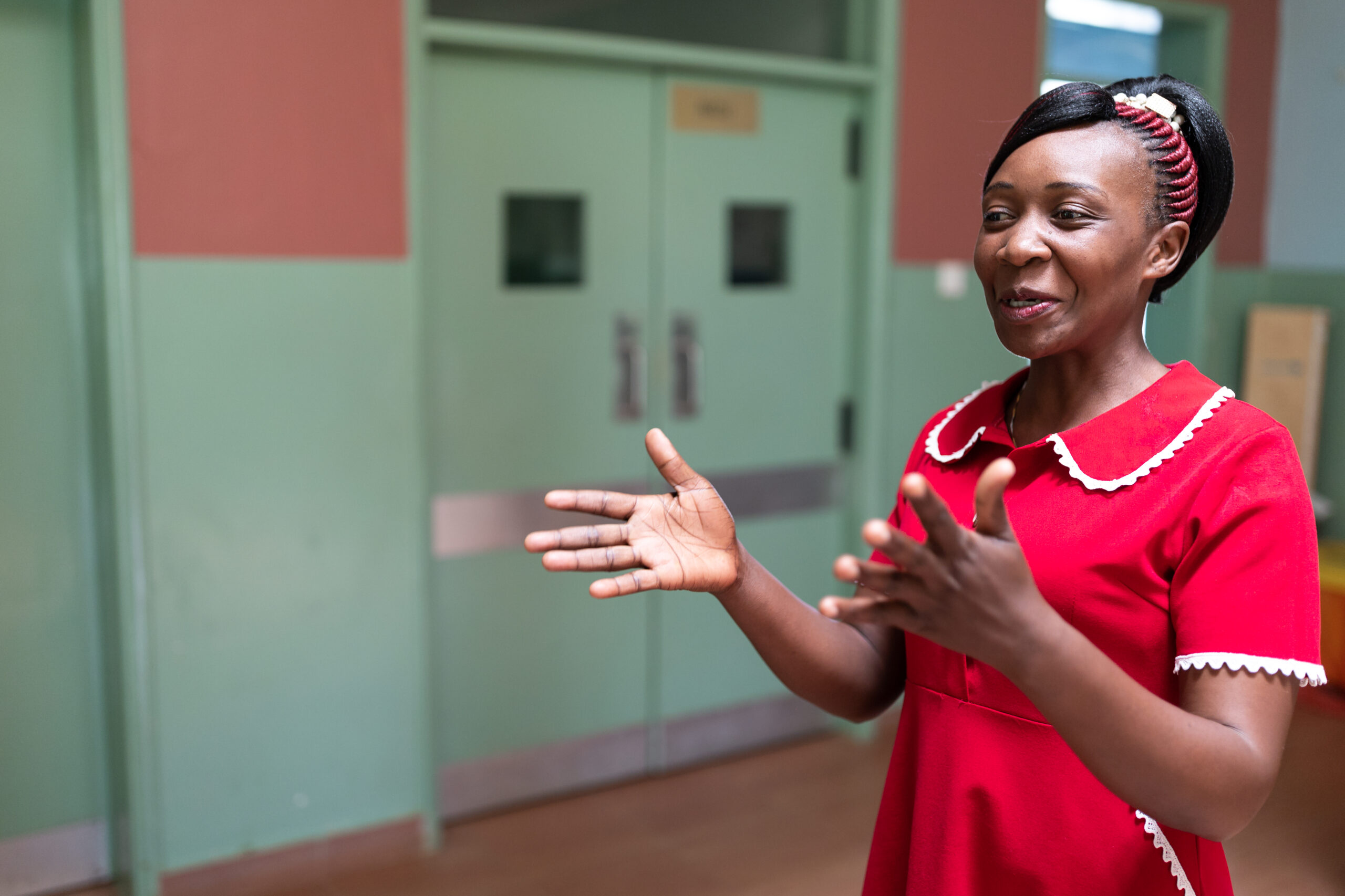 Health System Strengthening Vision Framework